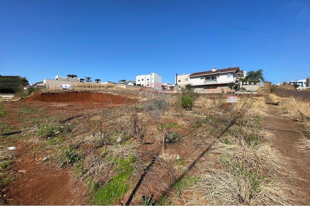 Terreno - Venda - Erechim , Rio Grande do Sul - WhatsApp Image 2025-07-14 at 16.40.51 (3).jpeg - 612761012-8