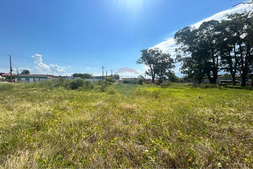 Terreno - Venda - Rio Grande , Rio Grande do Sul - WhatsApp Image 2026-02-12 at 23.43.37 (3).jpeg - 610211007-15