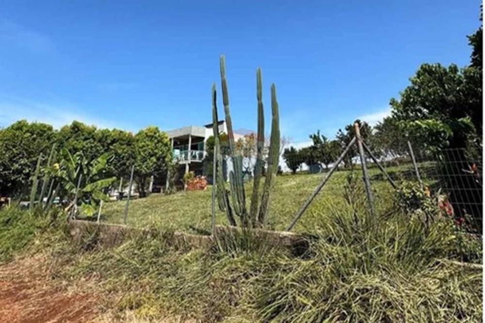 Terreno - Venda - Trindade do Sul , Rio Grande do Sul - WhatsApp Image 2026-01-02 at 17.25.16.jpeg - 610231035-7