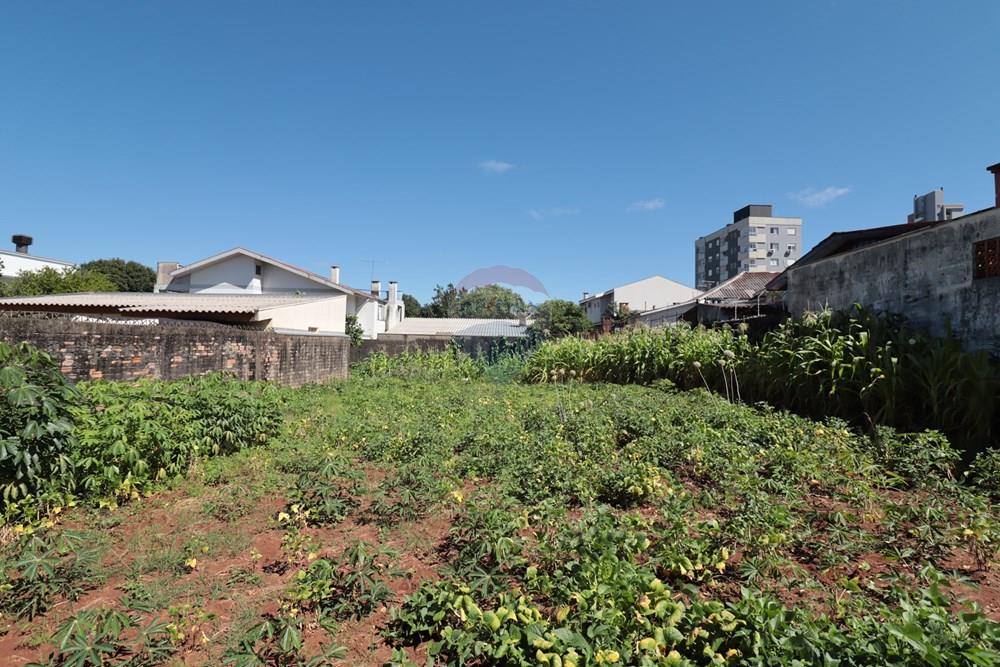 Terreno - Venda - Passo Fundo , Rio Grande do Sul - IMG_4904.JPG - 610271075-18