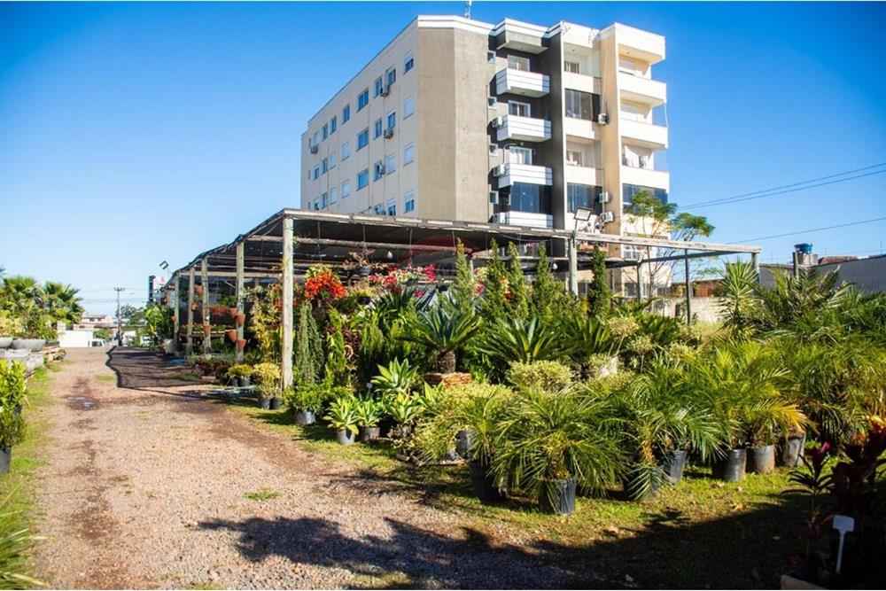 Terreno - Venda - Gravataí , Rio Grande do Sul - Imagem do WhatsApp de 2025-06-18 à(s) 10.45.24_8259b5f3.jpg - 612551057-27