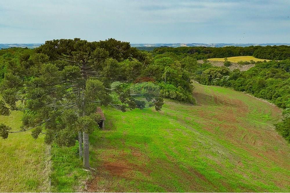 Chácara / Sítio / Fazenda - Venda - Gaurama , Rio Grande do Sul - Sequência 02.00_00_08_09.Quadro002.jpg - 612761027-16