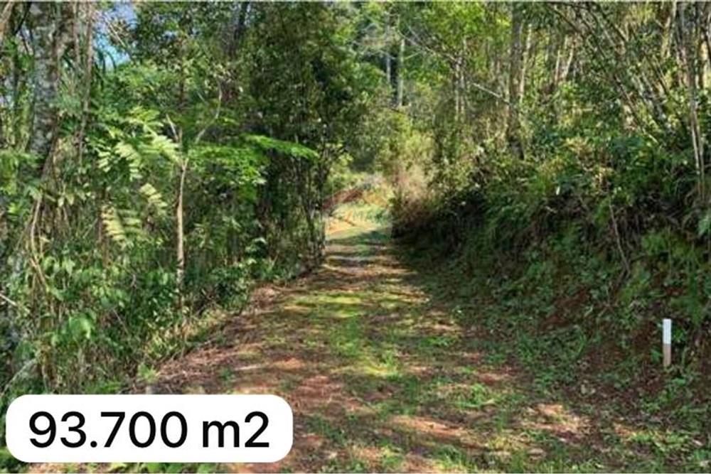 Chácara / Sítio / Fazenda - Venda - Santa Cruz do Sul , Rio Grande do Sul - WhatsApp Image 2026-01-11 at 17.45.31.jpeg - 612741028-61