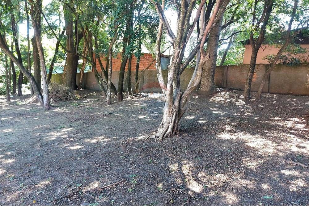 Terreno - Venda - Passo Fundo , Rio Grande do Sul - WhatsApp Image 2026-01-06 at 10.23.49 (2).jpeg - 612721043-11