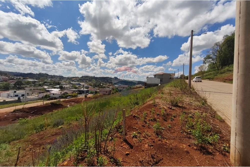 Terreno - Venda - Barão de Cotegipe , Rio Grande do Sul - Imagem do WhatsApp de 2025-10-10 à(s) 15.11.22_017a2176.jpg - 612761047-5