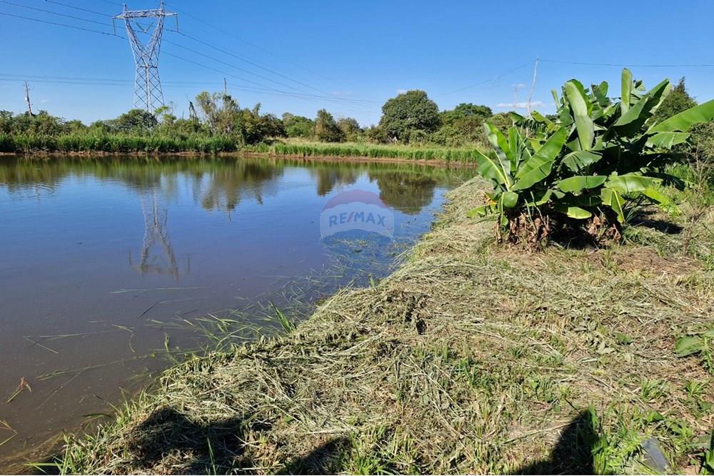 Chácara / Sítio / Fazenda - Venda - Trindade do Sul , Rio Grande do Sul - IMG-20250305-WA0039.jpg - 610231004-87