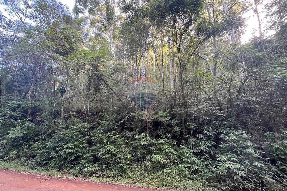 Chácara / Sítio / Fazenda - Venda - Santa Cruz do Sul , Rio Grande do Sul - WhatsApp Image 2025-06-11 at 15.36.19 (3).jpeg - 612741028-54