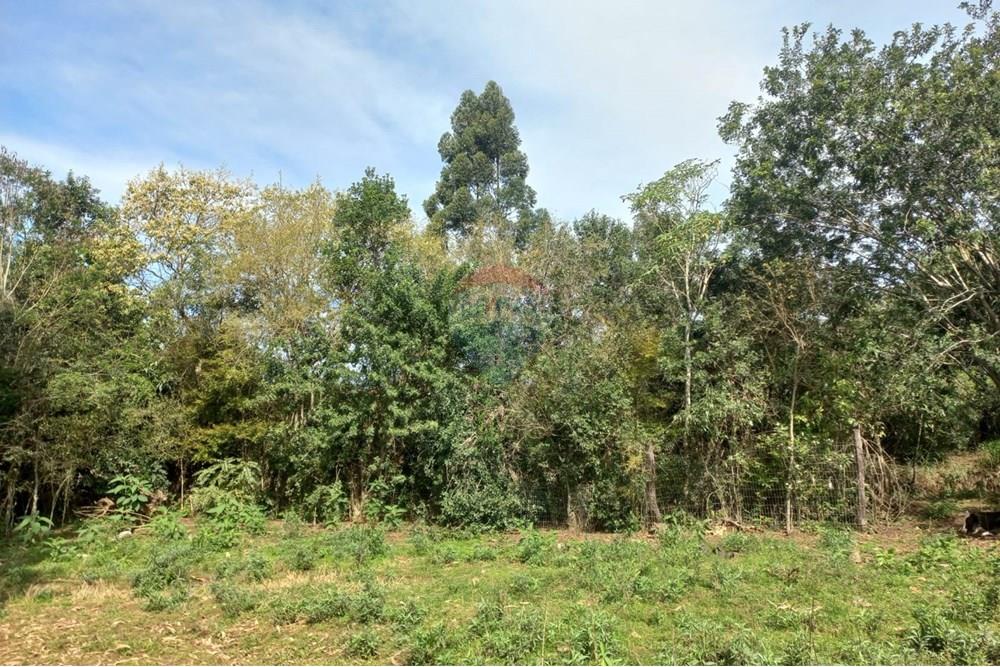 Chácara / Sítio / Fazenda - Venda - Nonoai , Rio Grande do Sul - IRIA 11.jpg - 610231002-40