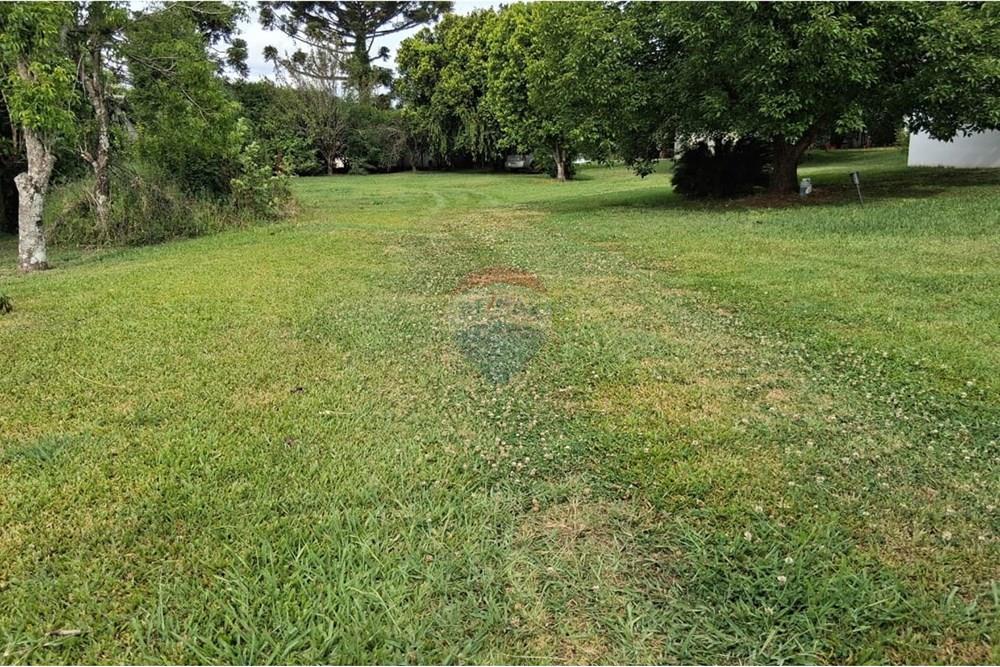 Terreno - Venda - Ibirapuitã , Rio Grande do Sul - WhatsApp Image 2025-12-01 at 16.35.05.jpeg - 610271103-10