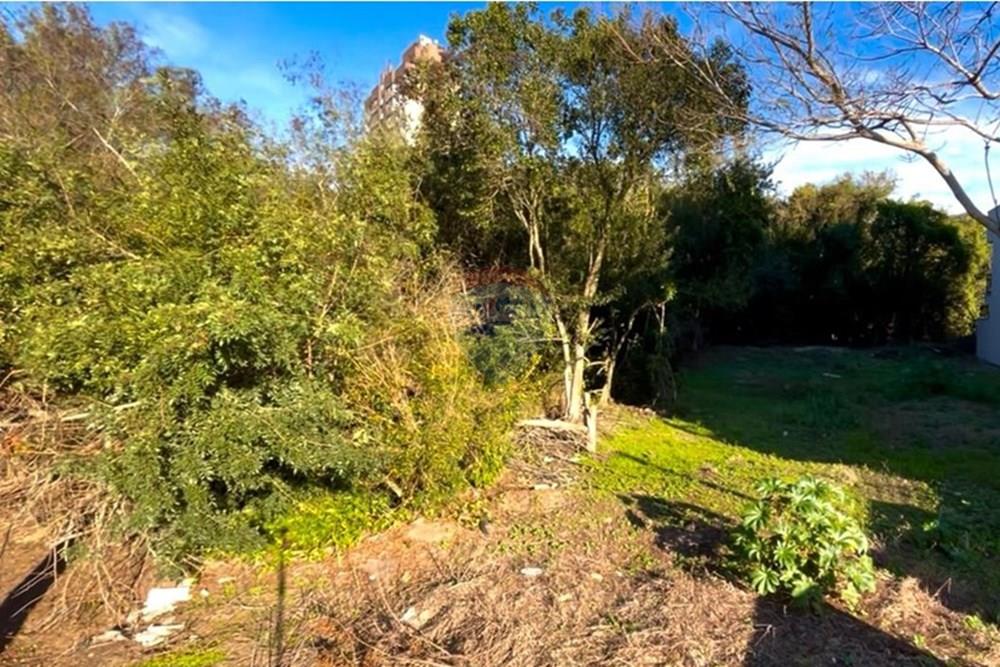 Terreno - Venda - Guaíba , Rio Grande do Sul - Imagem do WhatsApp de 2025-08-28 à(s) 16.10.21_259ce085.jpg - 612781019-16