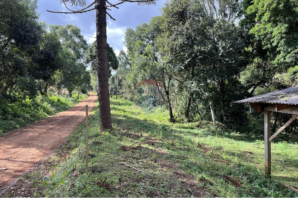 Fazenda - Venda - Lagoa Vermelha , Rio Grande do Sul - IMG_4250.jpg - 610111017-4