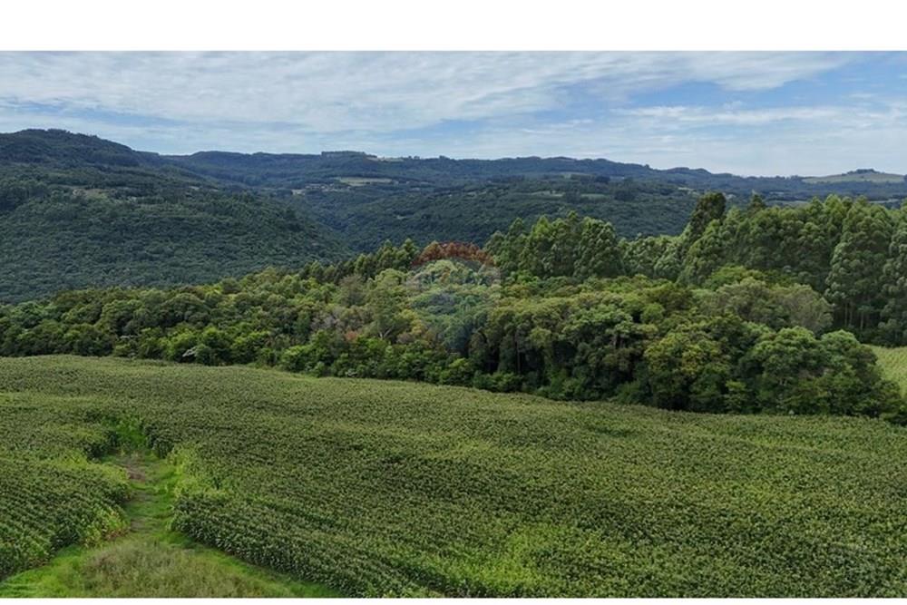 Chácara / Sítio / Fazenda - Venda - Gramado , Rio Grande do Sul - WhatsApp Image 2026-02-24 at 16.26.07 (10).jpeg - 610131034-44