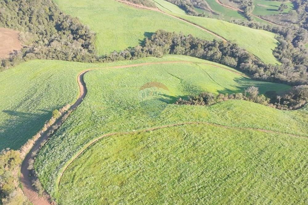 Agro - Venda - Três Palmeiras , Rio Grande do Sul - WhatsApp Image 2025-08-30 at 19.35.31.jpeg - 610231001-210