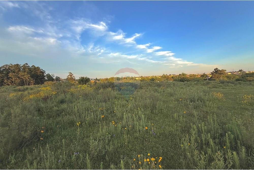 Terreno - Venda - São Gabriel , Rio Grande do Sul - WhatsApp Image 2025-10-24 at 10.48.23 (1).jpeg - 612631001-66