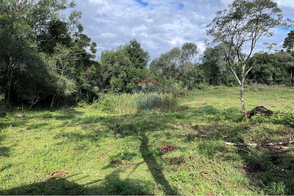 Fazenda - Venda - Lagoa Vermelha , Rio Grande do Sul - IMG_4241.jpg - 610111017-4