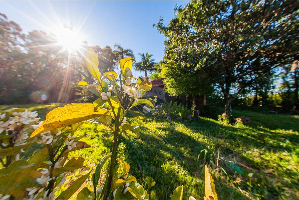 Chácara / Sítio / Fazenda - Venda - Brochier , Rio Grande do Sul - Foto-32 (1).jpg - 610091003-74