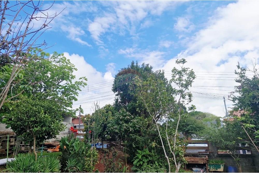 Casa - Venda - Três Palmeiras , Rio Grande do Sul - IMG-20251031-WA0160.jpg - 610231029-125