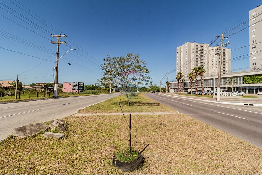 Terreno - Venda - Pelotas , Rio Grande do Sul - Terreno areal -02.jpg - 610211001-129