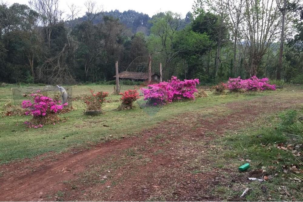 Chácara / Sítio / Fazenda - Venda - Sarandi , Rio Grande do Sul - WhatsApp Image 2025-07-03 at 11.17.37.jpeg - 610341006-382