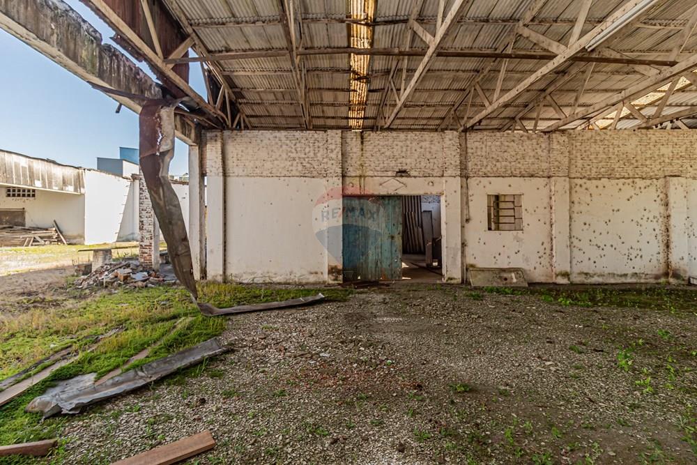 Terreno - Venda - Pelotas , Rio Grande do Sul - Fernando Osorio 5799-11.jpg - 610211062-16