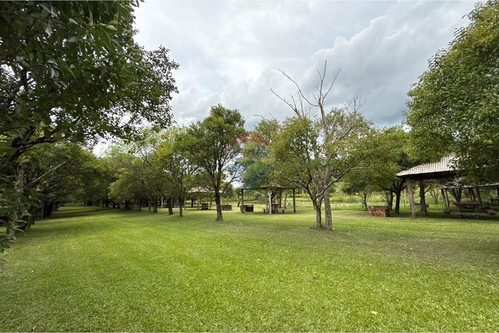 Chácara / Sítio / Fazenda - Venda - Carazinho , Rio Grande do Sul - WhatsApp Image 2026-01-30 at 19.34.11 (1).jpeg - 612701005-32