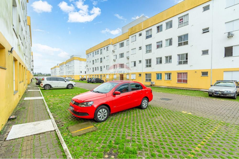 Apartamento - Venda - Gravataí , Rio Grande do Sul - _DSC2740-Editar.jpg - 610161100-52