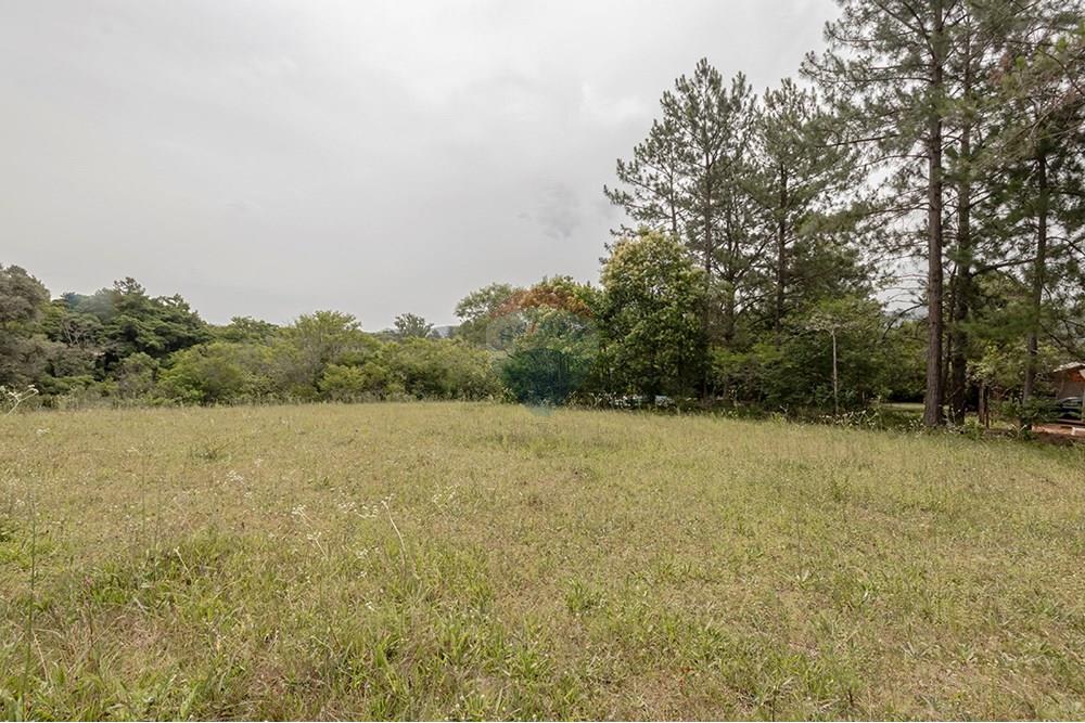 Terreno - Venda - Porto Alegre , Rio Grande do Sul - 0805-272 (17).jpg - 612521075-18