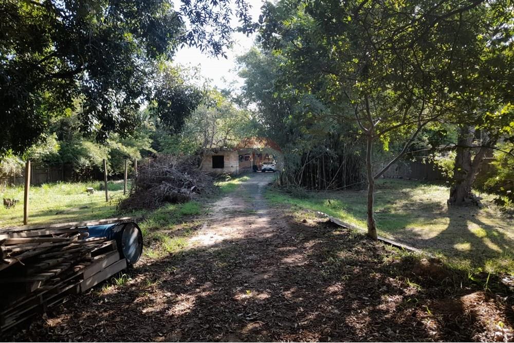 Terreno - Venda - Porto Alegre , Rio Grande do Sul - WhatsApp Image 2025-03-21 at 16.28.45 (2).jpeg - 612551008-93