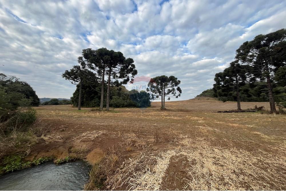 Fazenda - Venda - Lagoa Vermelha , Rio Grande do Sul - IMG_2559.JPG - 610111017-1