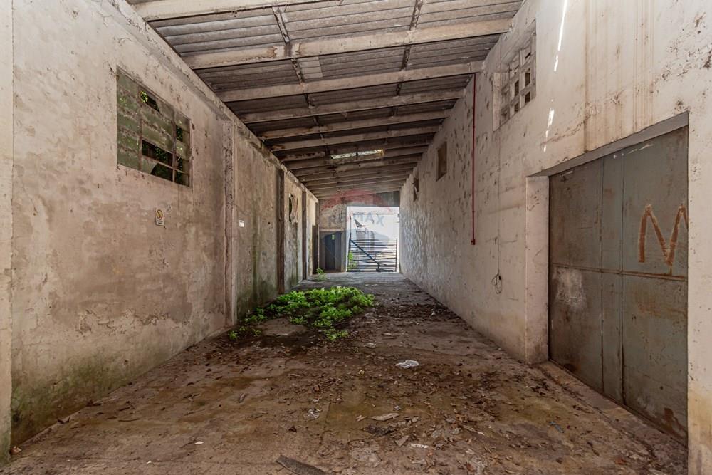 Terreno - Venda - Pelotas , Rio Grande do Sul - Fernando Osorio 5799-32.jpg - 610211062-16