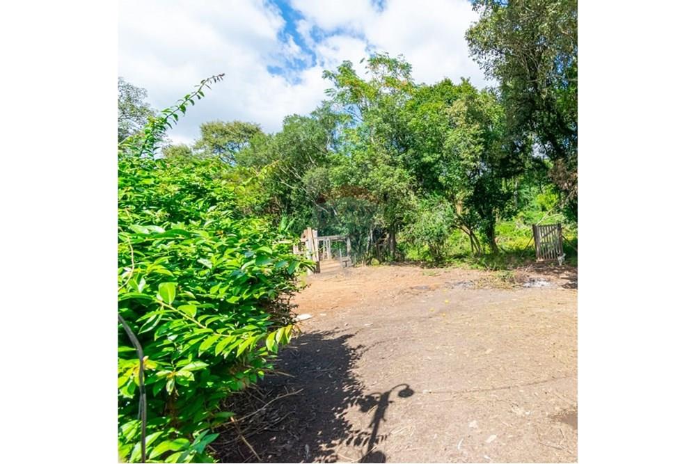 Chácara / Sítio / Fazenda - Venda - Gravataí , Rio Grande do Sul - WhatsApp Image 2025-05-20 at 09.57.55.jpeg - 610381018-2