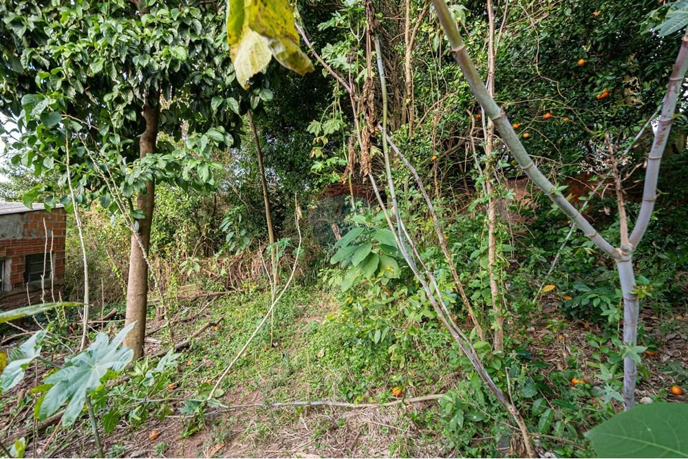 Terreno - Venda - Novo Hamburgo , Rio Grande do Sul - DSC_5077.jpeg - 610261057-8