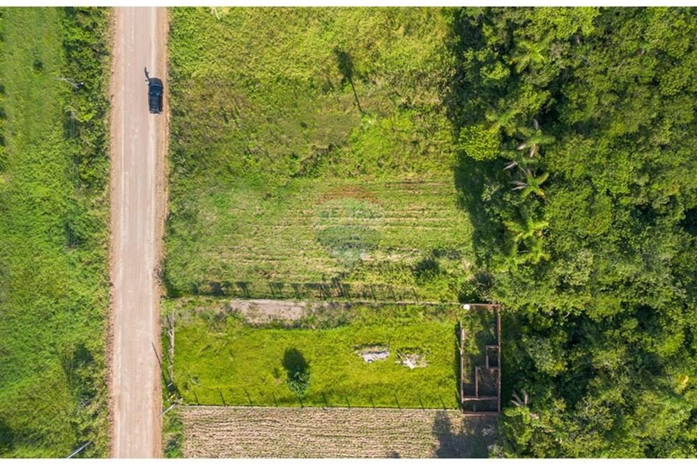 Terreno - Venda - Pareci Novo , Rio Grande do Sul - Foto-9.jpg - 610091005-86