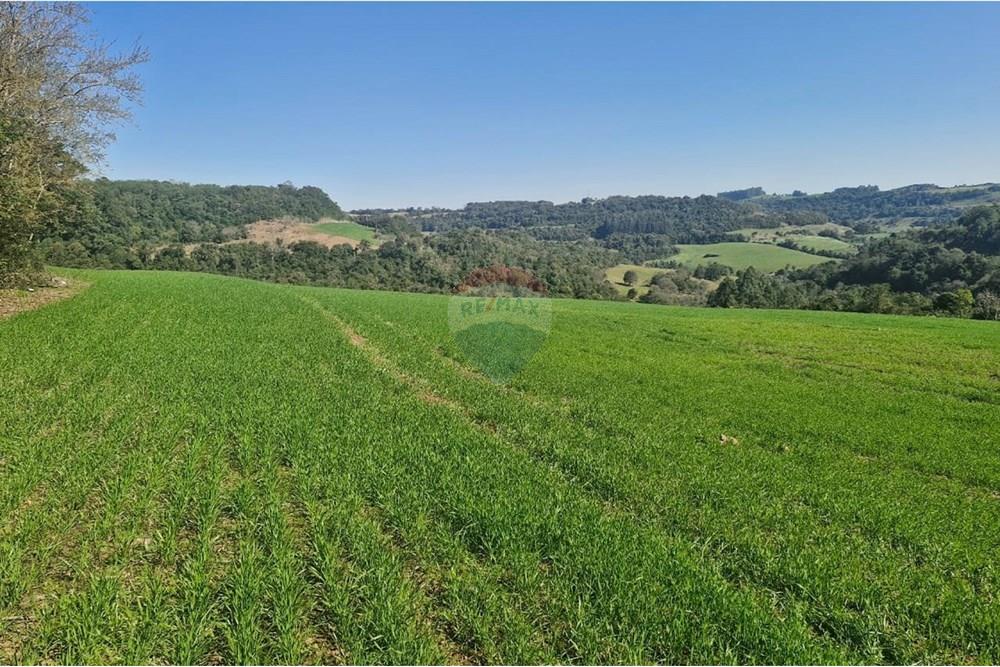 Chácara / Sítio / Fazenda - Venda - Trindade do Sul , Rio Grande do Sul - IMG-20250814-WA0083.jpg - 610231004-94