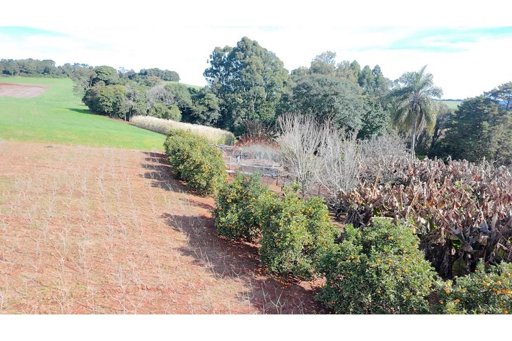 Chácara / Sítio / Fazenda - Venda - Nonoai , Rio Grande do Sul - 1000606508.jpg - 610231010-128