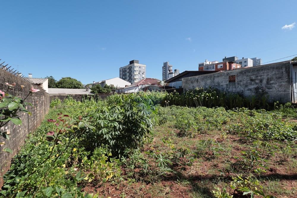 Terreno - Venda - Passo Fundo , Rio Grande do Sul - IMG_4882.JPG - 610271075-18
