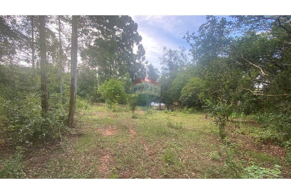 Chácara / Sítio / Fazenda - Venda - Rio Pardo , Rio Grande do Sul - IMG_5703.jpeg - 612741002-49