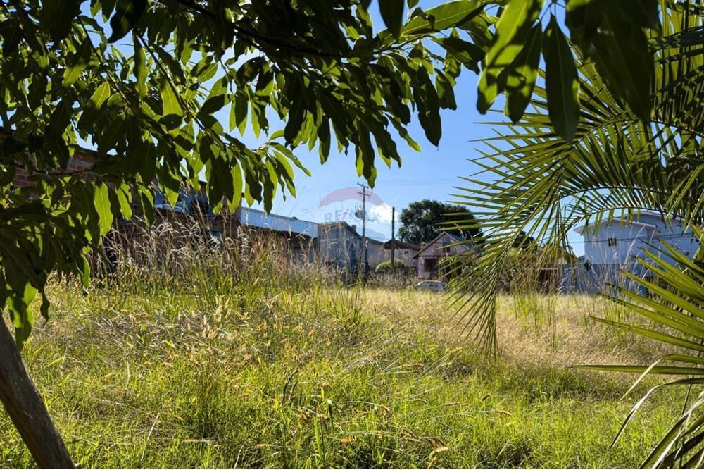 Terreno - Venda - Lagoa Vermelha , Rio Grande do Sul - WhatsApp Image 2025-05-20 at 09.47.02 (1).jpeg - 610111005-240