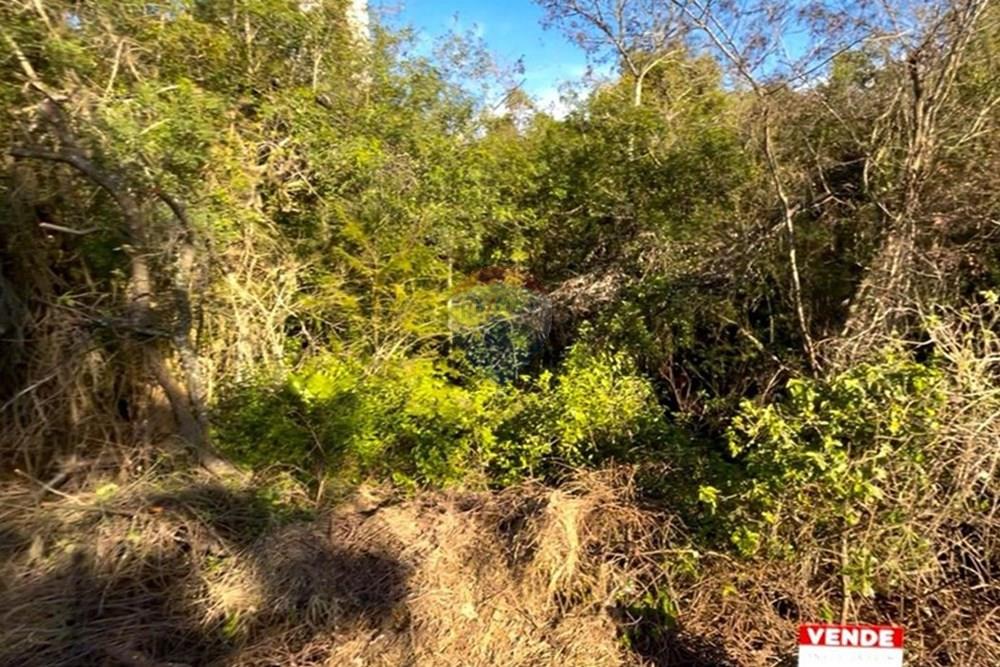 Terreno - Venda - Guaíba , Rio Grande do Sul - Imagem do WhatsApp de 2025-08-28 à(s) 16.10.24_d79a3ec1.jpg - 612781019-16