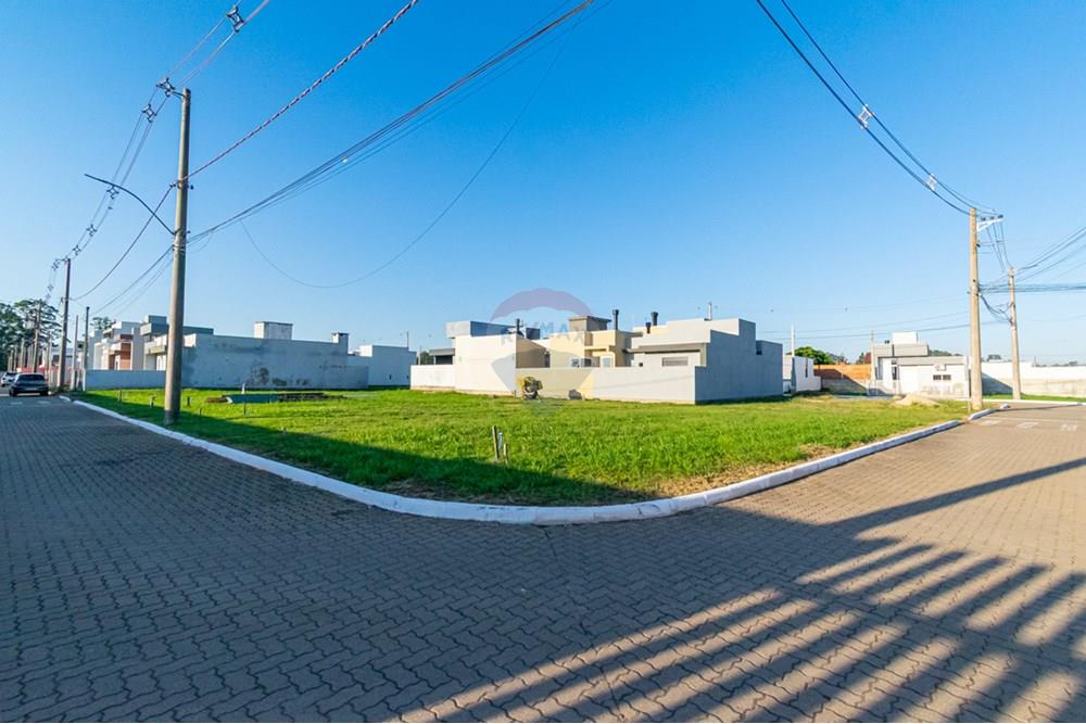 Terreno - Venda - Gravataí , Rio Grande do Sul - _DSC4163.jpg - 610051021-131