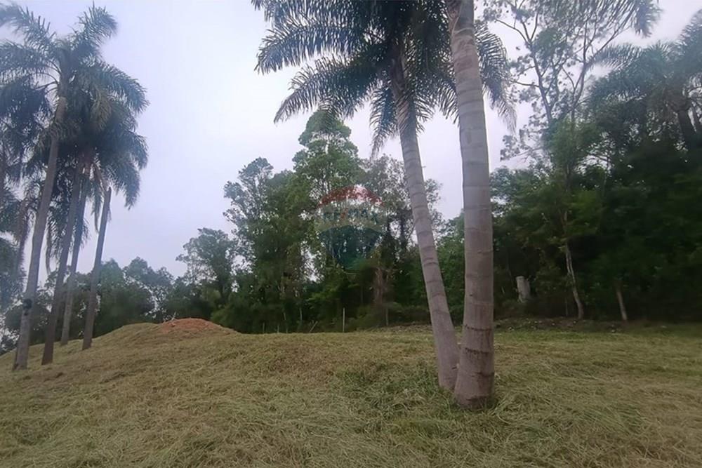 Terreno - Venda - Garibaldi , Rio Grande do Sul - WhatsApp Image 2025-10-31 at 15.00.10 (1).jpeg - 610331050-3