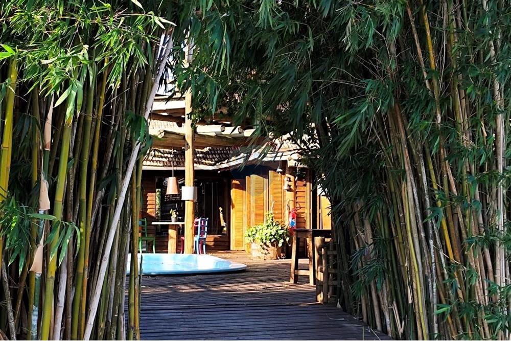 Casa - Alugar - Porto Alegre , Rio Grande do Sul - WhatsApp Image 2025-04-22 at 14.09.32 (3).jpeg - 612551008-122