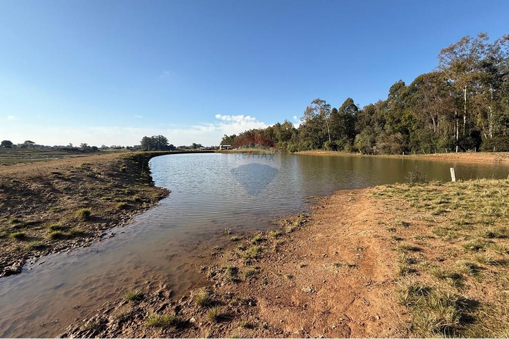 Chácara / Sítio / Fazenda - Venda - São Gabriel , Rio Grande do Sul - 4cea8296-b11e-4b61-968c-1a7ada31b63a.jpeg - 612631037-9