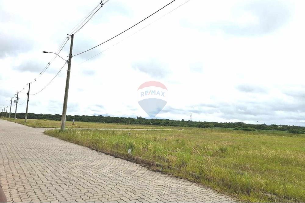 Terreno - Venda - Pelotas , Rio Grande do Sul - 11.jpeg - 610211061-2