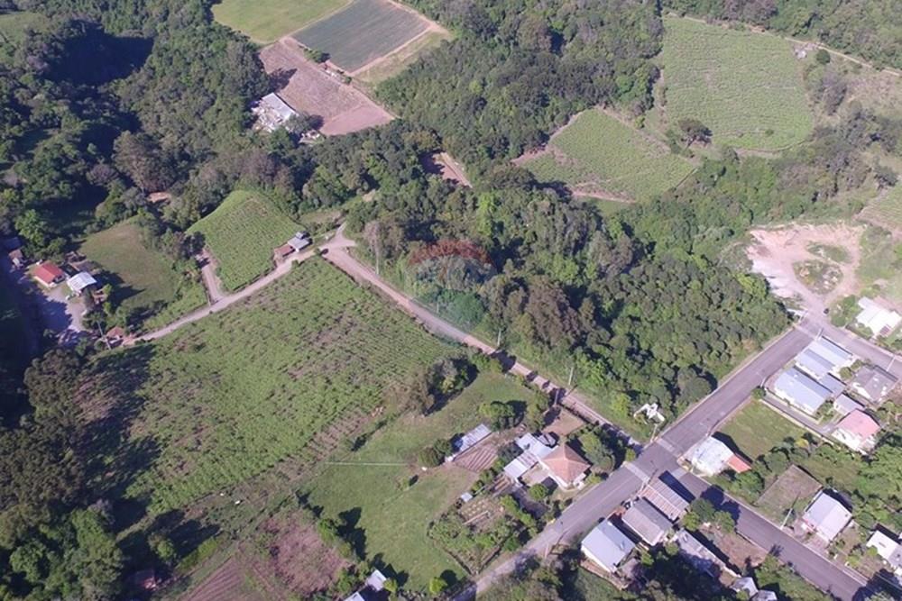 Terreno - Venda - Nova Pádua , Rio Grande do Sul - DJI_00641.jpg - 612551039-219