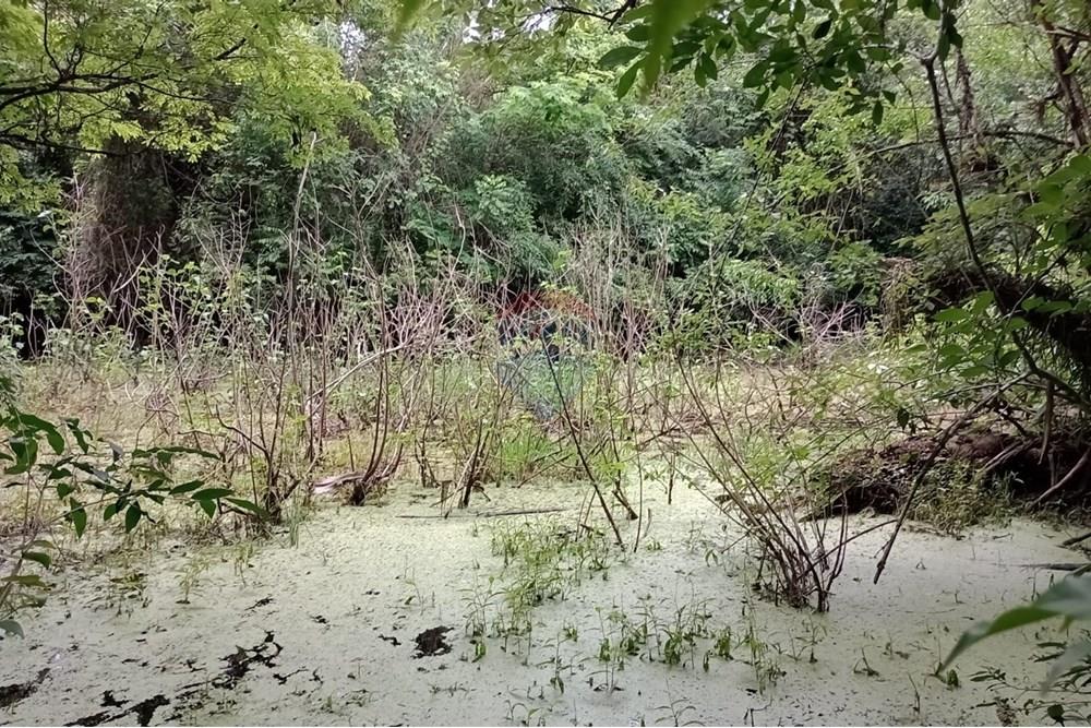 Chácara / Sítio / Fazenda - Venda - Sarandi , Rio Grande do Sul - WhatsApp Image 2025-11-26 at 16.01.42 (2).jpeg - 610341020-16