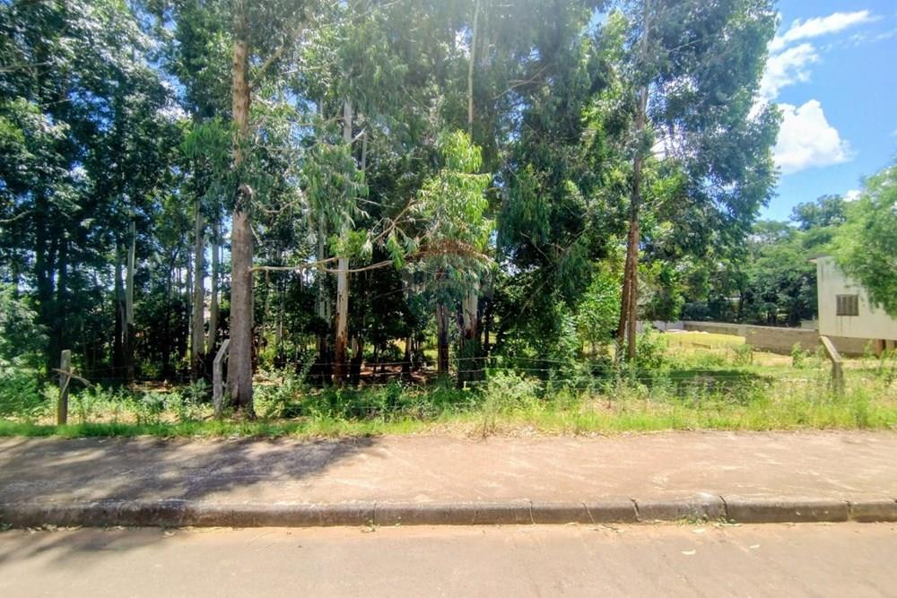 Terreno - Venda - Passo Fundo , Rio Grande do Sul - 1.3.jpeg - 610351009-68