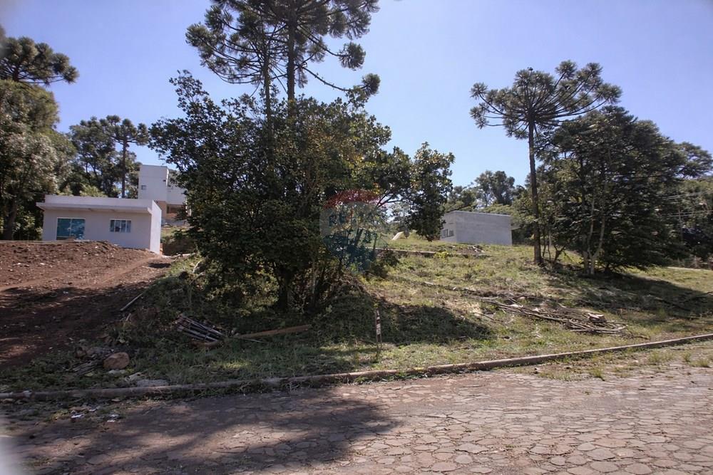 Terreno - Venda - Erechim , Rio Grande do Sul - ChatGPT Image 20 de mar. de 2026, 14_16_20.jpg - Fachada - 612761027-29