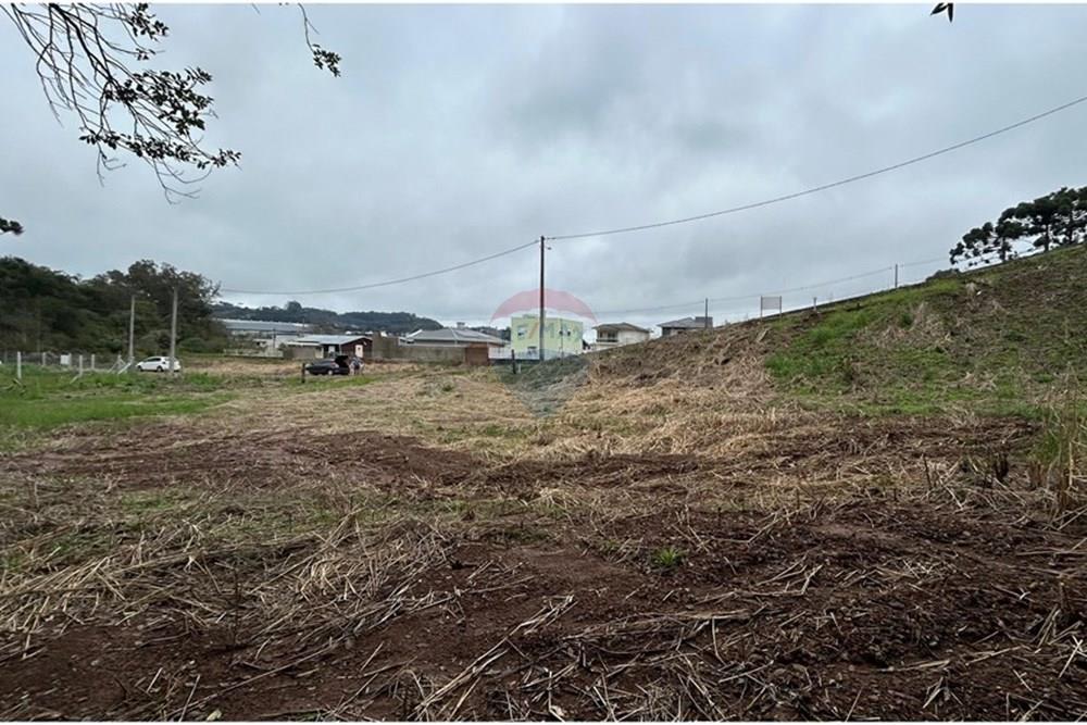 Terreno - Venda - Barão de Cotegipe , Rio Grande do Sul - WhatsApp Image 2025-08-09 at 14.36.35 (4).jpeg - Fachada - 612761035-7