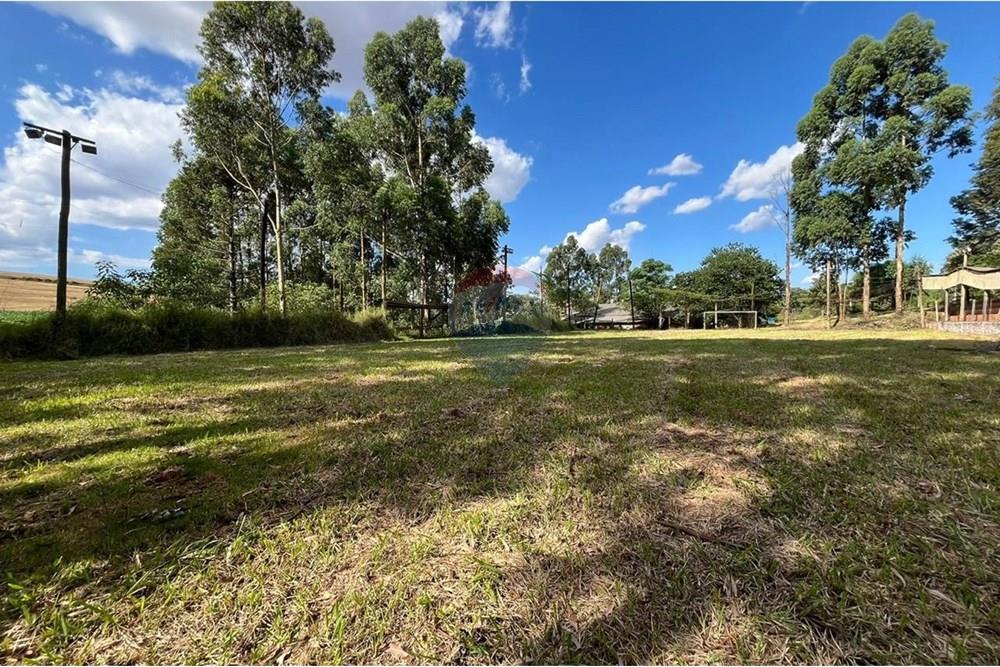 Chácara / Sítio / Fazenda - Venda - Trindade do Sul , Rio Grande do Sul - WhatsApp Image 2025-09-11 at 16.25.34 (1).jpeg - 610231026-29